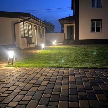 виноградна