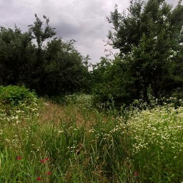 Романькивський провулок