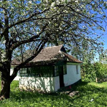 Будинок бережанка