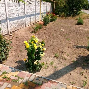 Великий будинок для великої сімї