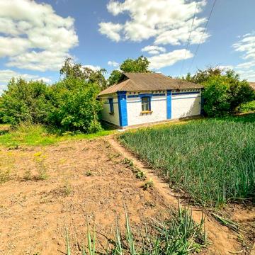 Продається будинок з великою ділянкою Вінницька обл.