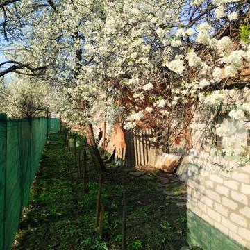 Володимира Вакуленка вул. (Невельська)