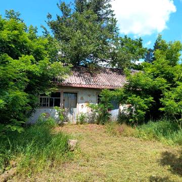 Продаж будинку в с. Думанці