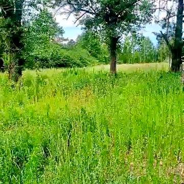 Продаж будинку (по документах) та великої ділянки в с.Жукин.
