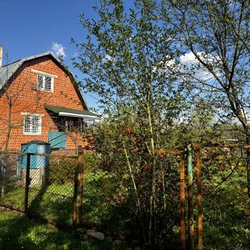 ‼️Продаж дачного будинку з великою ділянкою