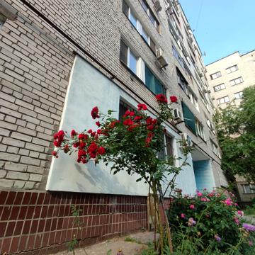 Семафорна вул., 42