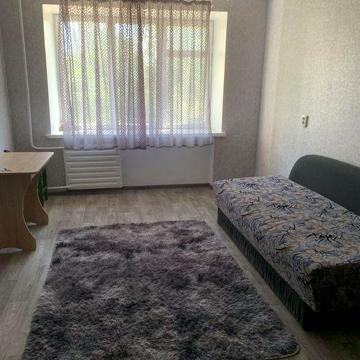 Оренда 1 кімнатної квартири, можна з тваринами
