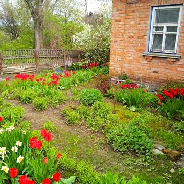 Продам будинок с.Пісочки