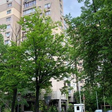Продажа квартиры по ул Омельяновича-Павленко (Суворова) 11