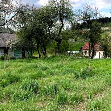 Продам будинок з земельною ділянкою 25сот смт. Східниця