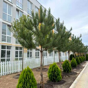 Продаж 2к квартири 48м2 з великим двором 37,5м2 від забудовника! ЖК Sanville Park