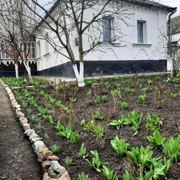 Будинок в центрі міста Сквира