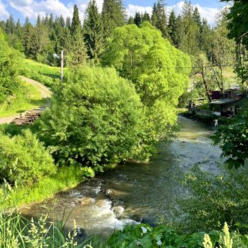 Славське, Стрийський, Львівська область 30000.0 USD