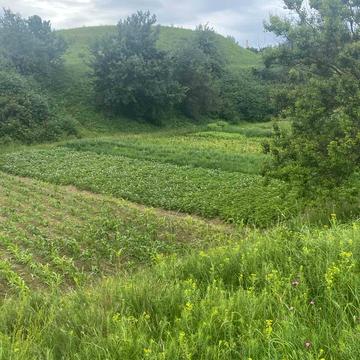 Гвоздів, Обухівський, Київська область 30000.0 USD