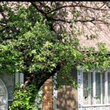 Продам будинок і один поряд с.Клішківці
