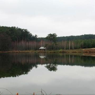 Гагарина