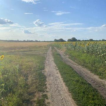 Продам дачу в Тарановке
