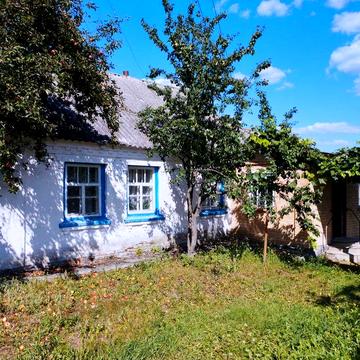 Продаю будинок в селі Северинівка Таращанського району
