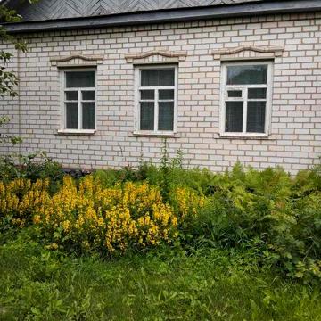 Будинок в м.Глухів