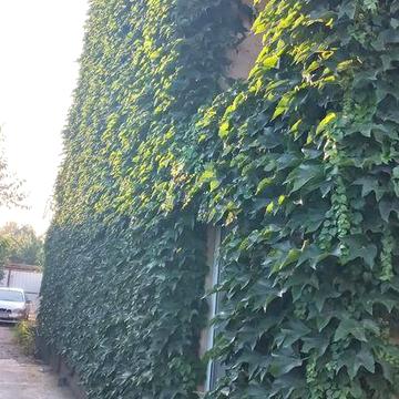 Дом на правом берегу