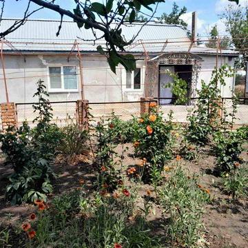 Продається будинок в Миколаївській області.