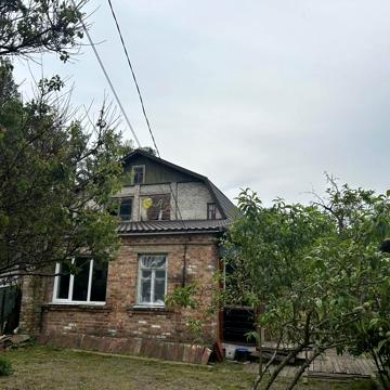 тюльпанна