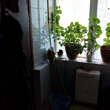 Сдам комнату в частном доме
