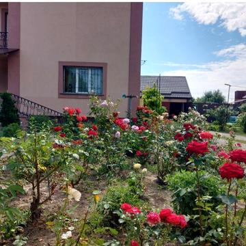 Продається будинок Київська область, Броварський район, село Скибин