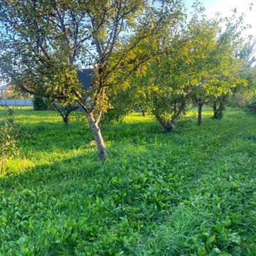 Земельна ділянка в селищі Ратне