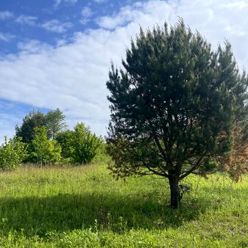 Карачинів, Яворівський, Львівська область 7000.0 USD