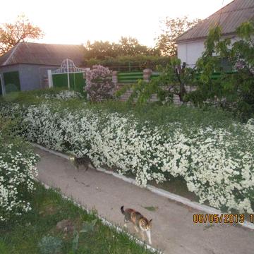 Продам будинок (55 000 $)