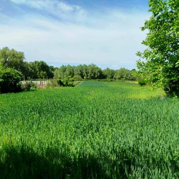 гагаріна, 1