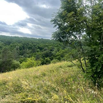 Великі Дмитровичі, Обухівський, Київська область 600000.0 USD