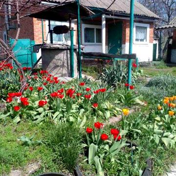 Продається будинок в смт.Опішня