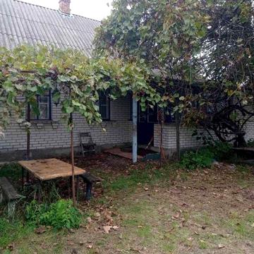 Продам будинок в смт Грибінки (Чирнешї)