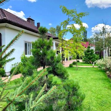 Оренда будинку (5 кімнат)