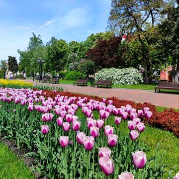 Оренда квартири в Центрі