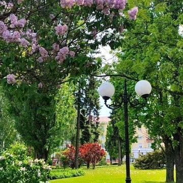 Оренда квартири в Центрі