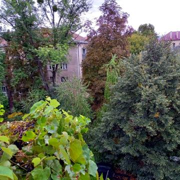 3 rooms appartment for rent - Здається 3-к кваритра біля Білочки