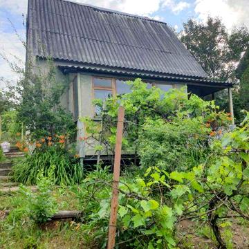 Продам дачу Змиев жд станция Аксютовка