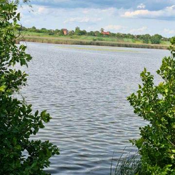 Продаж будинку с.Стави Обухівський/Кагарлицький р-н З ВИХОДОМ ДО ВОДИ