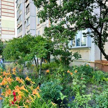 Сдам СИМПАТИЧНУЮ 1 кв. Возле Парка. Газ.