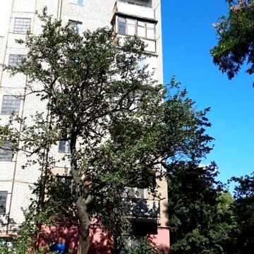 Продаж 2к Квартира Академіка Заболотного вулиця