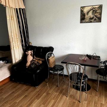 Однокімнатна квартира по кільцю(Чайковського) оренда
