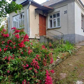 Продам дом в центрі з шикарним видом