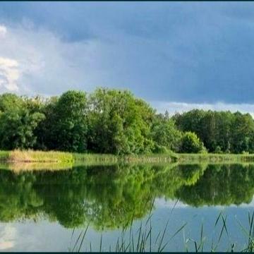 Будинок з виходом до річки, на березі річки, Квітневе (дом у реки)