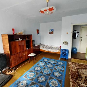 Квартира в самом центре с отличным видом и кошкой!