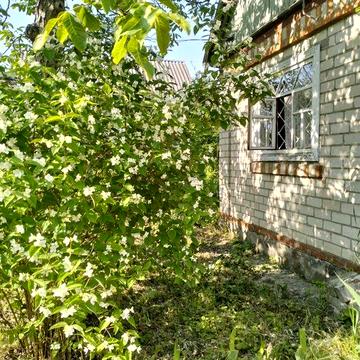 Продам дачу "Будівельник" Власівка