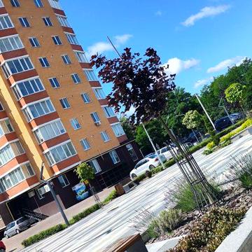Однокімнатна квартира у новобудові.Будинок зданий в експлуатацію ЖК ПОЛЬСКИЙ БУЛЬВАР
