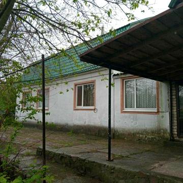 Зелена